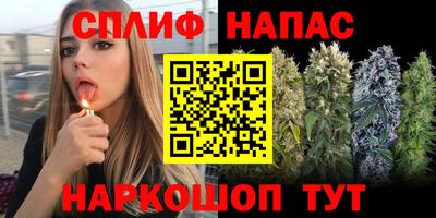 дживик Боровичи