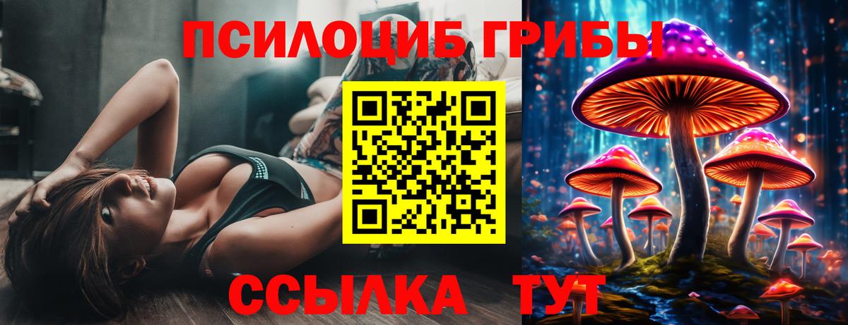 Псилоцибиновые грибы MAGIC MUSHROOMS Котовск