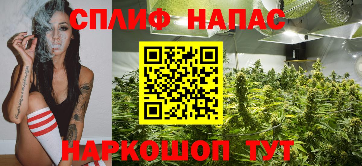 Конопля конопля Котовск